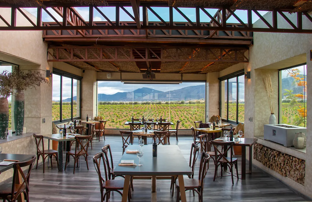 Hotel Boutique Valle De Guadalupe & Spa-1