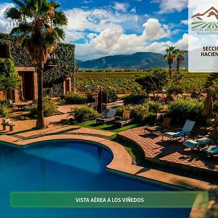 Hotel Boutique Valle De Guadalupe & Spa-2